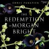 The Redemption of Morgan Bright... - Bild 1