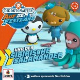 Folge 15: Die Oktonauten und der sibirische Salamander (MP3-Download)