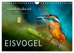 Wunderschöner Eisvogel (Wandkalender 2025 DIN A4 quer), CALVENDO Monatskalender