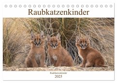 Raubkatzenkinder (Tischkalender 2025 DIN A5 quer), CALVENDO Monatskalender