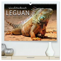 Wunderschöner Leguan (hochwertiger Premium Wandkalender 2025 DIN A2 quer), Kunstdruck in Hochglanz