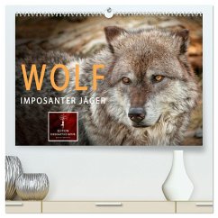 Wolf - Imposanter Jäger (hochwertiger Premium Wandkalender 2025 DIN A2 quer), Kunstdruck in Hochglanz