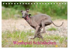Windspiel Schönheiten (Tischkalender 2025 DIN A5 quer), CALVENDO Monatskalender - Calvendo;Joswig, Angelika