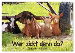 Wer zickt denn da? - Zicklein-Edition (Tischkalender 2025 DIN A5 quer), CALVENDO Monatskalender