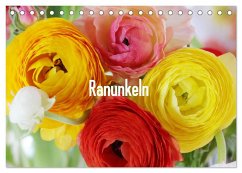 Ranunkeln (Tischkalender 2025 DIN A5 quer), CALVENDO Monatskalender - Calvendo;Kruse, Gisela