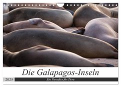 Galapagos-Inseln - Ein Paradies für Tiere (Wandkalender 2025 DIN A4 quer), CALVENDO Monatskalender - Calvendo;Dobrindt, Jeanette