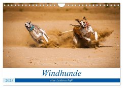 Windhunde - eine Leidenschaft (Wandkalender 2025 DIN A4 quer), CALVENDO Monatskalender