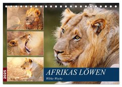 Afrikas Löwen 2025 (Tischkalender 2025 DIN A5 quer), CALVENDO Monatskalender - Calvendo;Woyke, Wibke