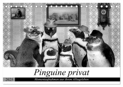 Pinguine privat (Tischkalender 2025 DIN A5 quer), CALVENDO Monatskalender