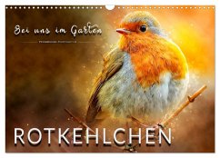 Bei uns im Garten - Rotkehlchen (Wandkalender 2025 DIN A3 quer), CALVENDO Monatskalender