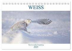 WEISS (Tischkalender 2025 DIN A5 quer), CALVENDO Monatskalender