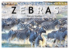 Zebras, Stars in Streifen (Tischkalender 2025 DIN A5 quer), CALVENDO Monatskalender - Calvendo;Styppa, Robert