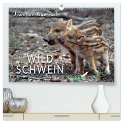 Unverwechselbar - Wildschwein (hochwertiger Premium Wandkalender 2025 DIN A2 quer), Kunstdruck in Hochglanz