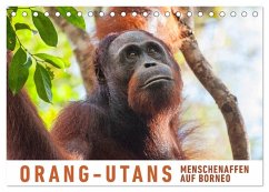 Orang-Utans Menschenaffen auf Borneo (Tischkalender 2025 DIN A5 quer), CALVENDO Monatskalender - Calvendo;Ristl, Martin