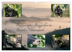 Begegnungen - Berggorillas im Bwindi Nationalpark (Wandkalender 2025 DIN A2 quer), CALVENDO Monatskalender