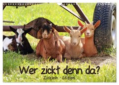 Wer zickt denn da? - Zicklein-Edition (Wandkalender 2025 DIN A3 quer), CALVENDO Monatskalender