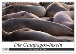 Galapagos-Inseln - Ein Paradies für Tiere (Wandkalender 2025 DIN A3 quer), CALVENDO Monatskalender