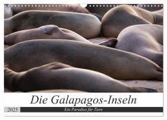 Galapagos-Inseln - Ein Paradies für Tiere (Wandkalender 2025 DIN A3 quer), CALVENDO Monatskalender - Calvendo;Dobrindt, Jeanette