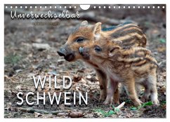 Unverwechselbar - Wildschwein (Wandkalender 2025 DIN A4 quer), CALVENDO Monatskalender