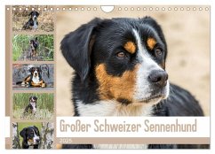 Großer Schweizer Sennenhund (Wandkalender 2025 DIN A4 quer), CALVENDO Monatskalender - Calvendo;Schnellewelten