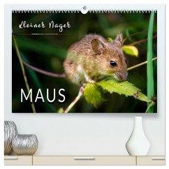 Kleiner Nager - Maus (hochwertiger Premium Wandkalender 2025 DIN A2 quer), Kunstdruck in Hochglanz - Calvendo;Roder, Peter