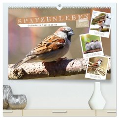 Gefiederte Gartengäste, Spatzenleben (hochwertiger Premium Wandkalender 2025 DIN A2 quer), Kunstdruck in Hochglanz