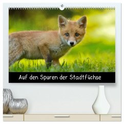 Auf den Spuren der Stadtfüchse (hochwertiger Premium Wandkalender 2025 DIN A2 quer), Kunstdruck in Hochglanz - Calvendo;Krämer, Antonia