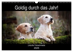 Goldig durch das Jahr! (Wandkalender 2025 DIN A3 quer), CALVENDO Monatskalender - Calvendo;Bohlmann, Jennifer