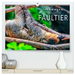 Abhängen - Faultier (hochwertiger Premium Wandkalender 2025 DIN A2 quer), Kunstdruck in Hochglanz