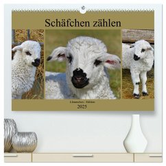 Schäfchen zählen - Lämmchen-Edition (hochwertiger Premium Wandkalender 2025 DIN A2 quer), Kunstdruck in Hochglanz