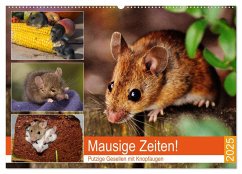 Mausige Zeiten! Putzige Gesellen mit Knopfaugen (Wandkalender 2025 DIN A2 quer), CALVENDO Monatskalender