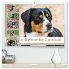 Großer Schweizer Sennenhund (hochwertiger Premium Wandkalender 2025 DIN A2 quer), Kunstdruck in Hochglanz