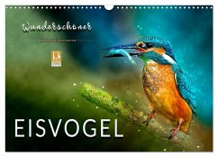 Wunderschöner Eisvogel (Wandkalender 2025 DIN A3 quer), CALVENDO Monatskalender