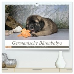 Germanische Bärenbabys (hochwertiger Premium Wandkalender 2025 DIN A2 quer), Kunstdruck in Hochglanz - Calvendo;Teßen, Sonja