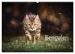 Bengalen Outdoor und Action (Wandkalender 2025 DIN A2 quer), CALVENDO Monatskalender