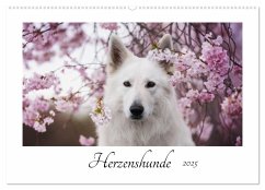 Herzenshunde 2025 (Wandkalender 2025 DIN A2 quer), CALVENDO Monatskalender - Calvendo;Kudla - Photographie, Madlen