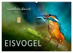 Wunderschöner Eisvogel (Wandkalender 2025 DIN A2 quer), CALVENDO Monatskalender