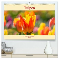 Tulpen - Feuerwerk der Farben (hochwertiger Premium Wandkalender 2025 DIN A2 quer), Kunstdruck in Hochglanz - Calvendo;Scheurer, Monika