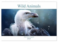 Wild Animals - Wilde Tiere (Wandkalender 2025 DIN A2 quer), CALVENDO Monatskalender - Calvendo;Bürger, Janina