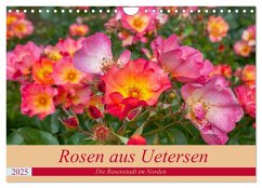 Rosen aus Uetersen (Wandkalender 2025 DIN A4 quer), CALVENDO Monatskalender - Calvendo;Steiner / Matthias Konrad, Carmen