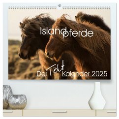 Islandpferde - Der Tölt Kalender (hochwertiger Premium Wandkalender 2025 DIN A2 quer), Kunstdruck in Hochglanz - Calvendo;van der Wiel - www.kalender-atelier.de, Irma