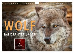 Wolf - Imposanter Jäger (Wandkalender 2025 DIN A4 quer), CALVENDO Monatskalender - Calvendo;Roder, Peter