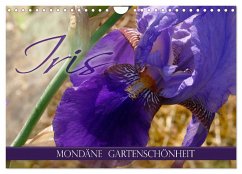 Iris - mondäne Gartenschönheit (Wandkalender 2025 DIN A4 quer), CALVENDO Monatskalender