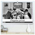 Pinguine privat (hochwertiger Premium Wandkalender 2025 DIN A2 quer), Kunstdruck in Hochglanz