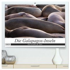 Galapagos-Inseln - Ein Paradies für Tiere (hochwertiger Premium Wandkalender 2025 DIN A2 quer), Kunstdruck in Hochglanz