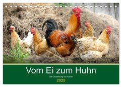 Vom Ei zum Huhn. Die Entwicklung von Küken (Tischkalender 2025 DIN A5 quer), CALVENDO Monatskalender