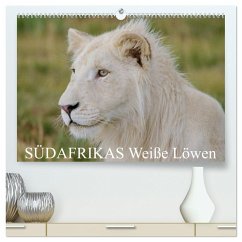 SÜDAFRIKAS Weiße Löwen (hochwertiger Premium Wandkalender 2025 DIN A2 quer), Kunstdruck in Hochglanz - Calvendo;Thula