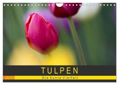 Tulpen - die bunte Vielfalt (Wandkalender 2025 DIN A4 quer), CALVENDO Monatskalender