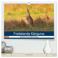 Freilebende Kängurus (hochwertiger Premium Wandkalender 2025 DIN A2 quer), Kunstdruck in Hochglanz - Calvendo;Brühne Foto (TBFOT.DE), Till