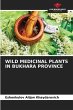 Wild Medicinal Plants in Bukhara... - Bild 1
